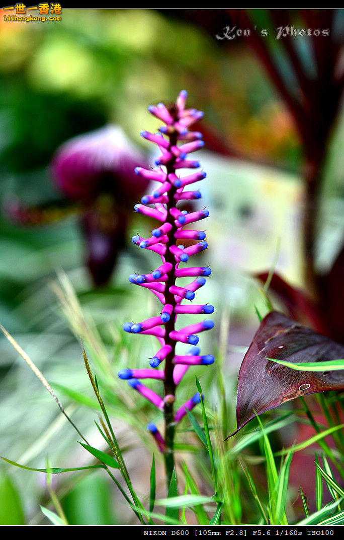 DSC_5560.jpg