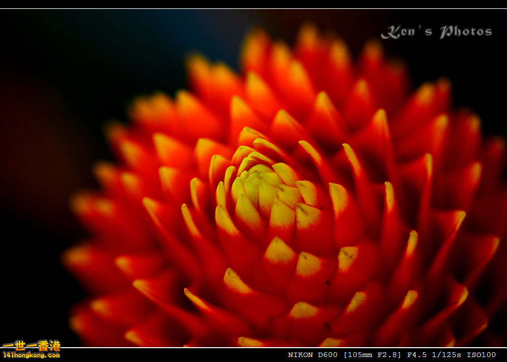 DSC_5566.jpg