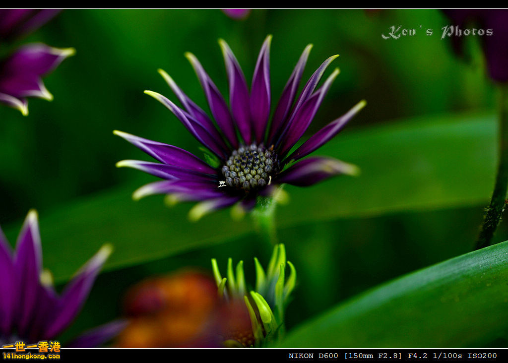 DSC_5678.jpg