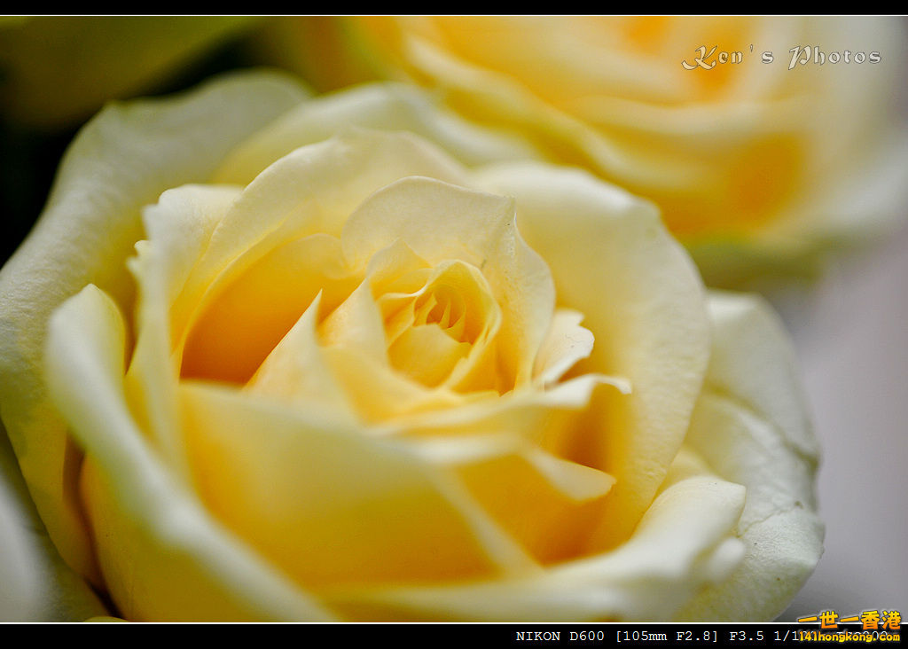 DSC_6373.jpg