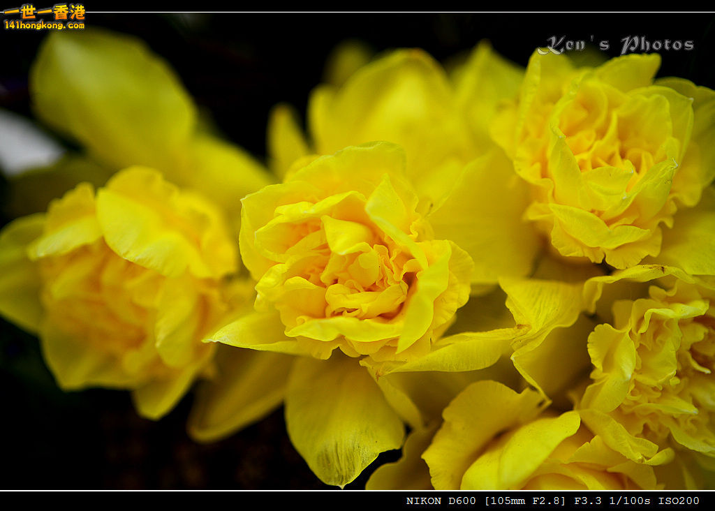 DSC_6404.jpg