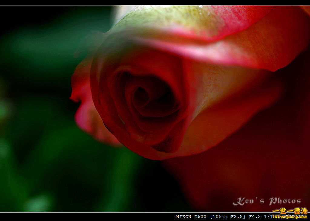 DSC_6405.jpg