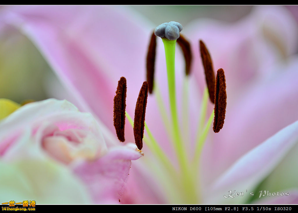 DSC_6409.jpg