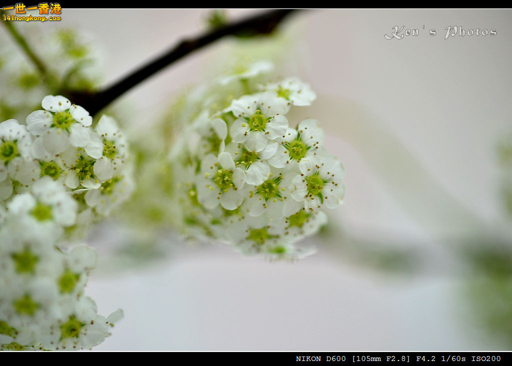 DSC_6442.jpg