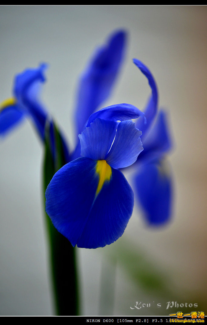 DSC_6455.jpg