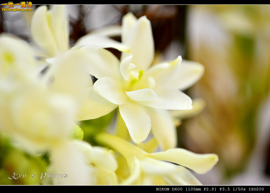 DSC_6463.jpg