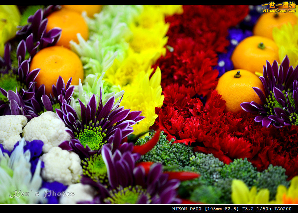 DSC_6487.jpg