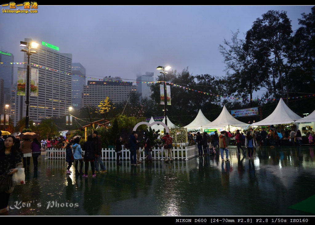 DSC_6505.jpg