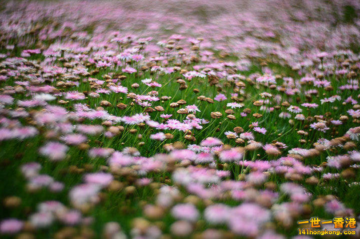 01 (42).jpg
