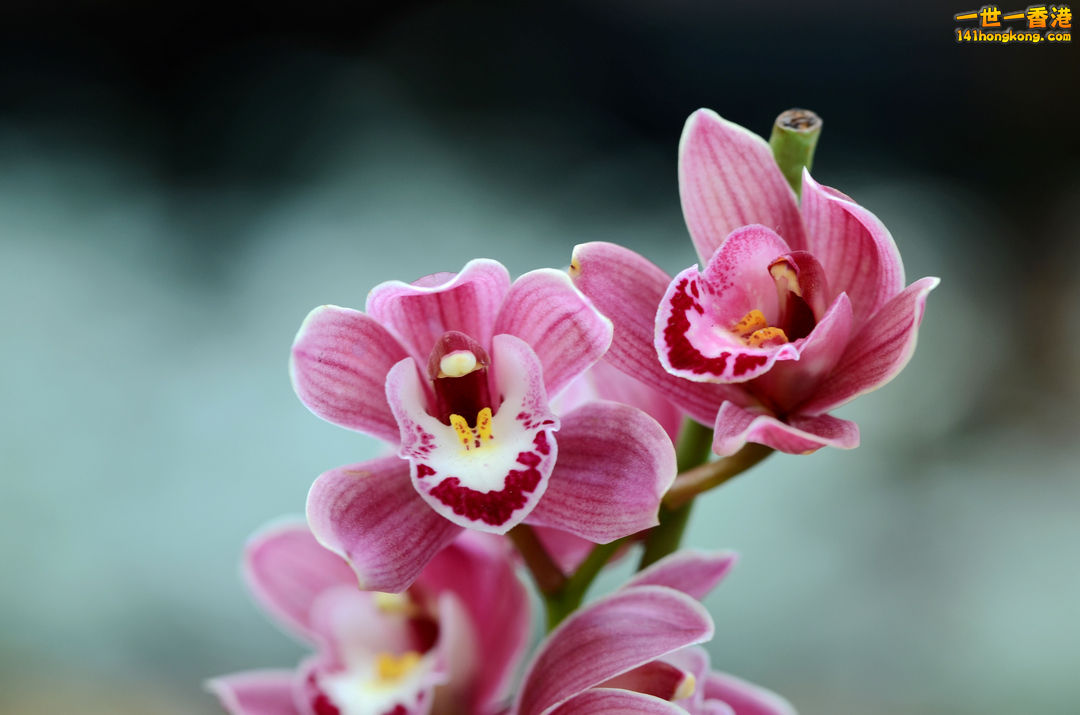 nEO_IMG_DSC_6670.jpg