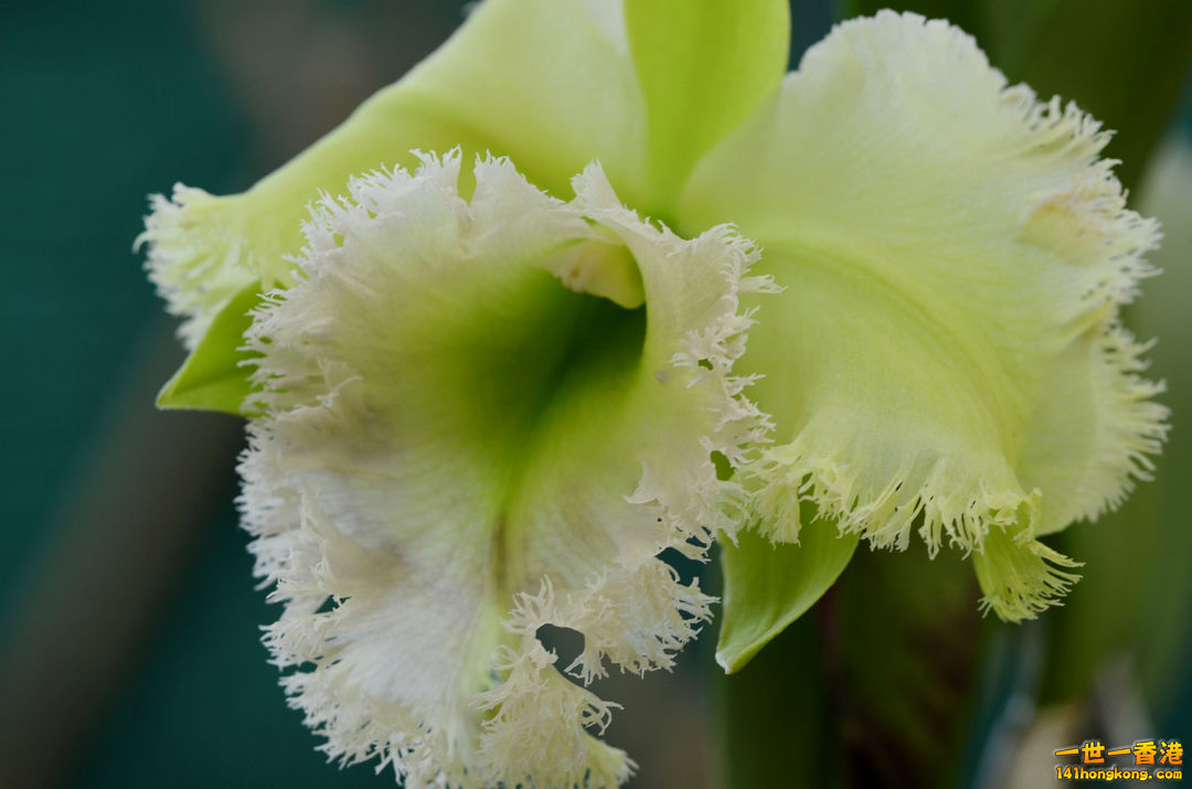 nEO_IMG_DSC_6582.jpg