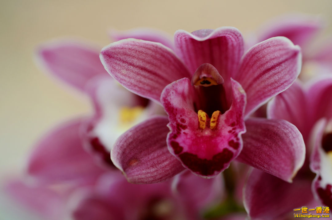 nEO_IMG_DSC_6651.jpg