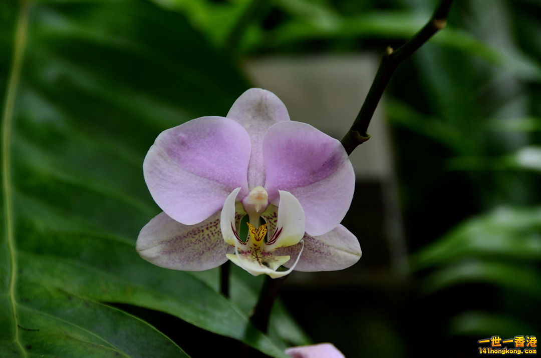 nEO_IMG_DSC_6764.jpg