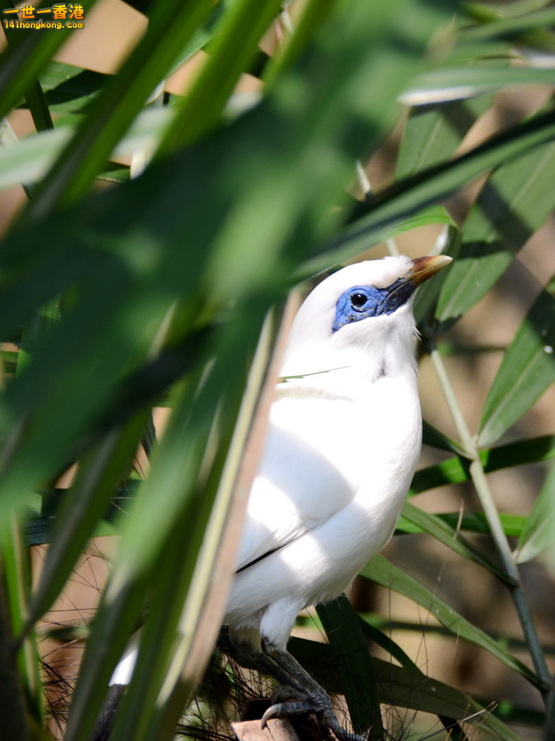 nEO_IMG_DSC_6901.jpg