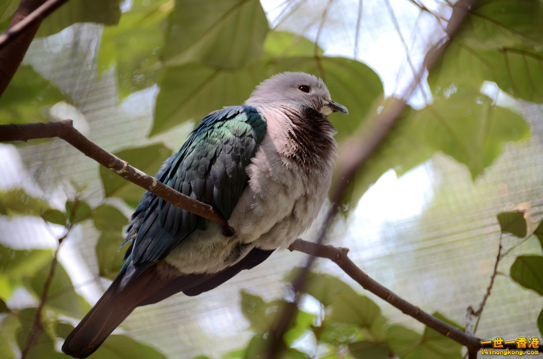 nEO_IMG_DSC_7038.jpg