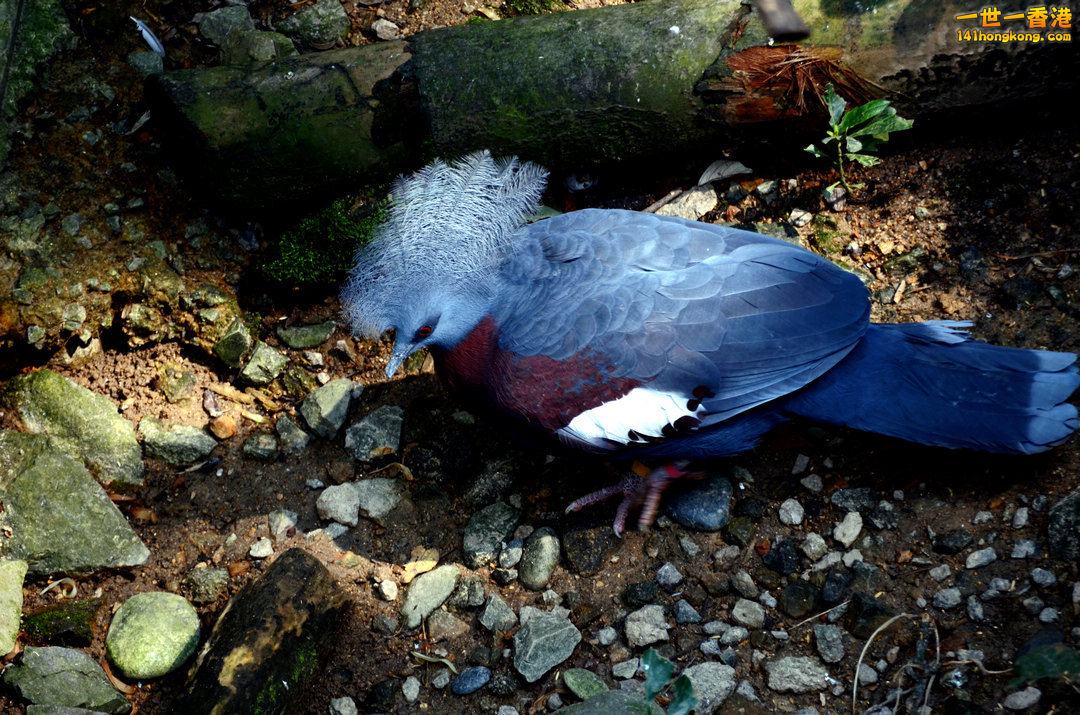 nEO_IMG_DSC_7022.jpg