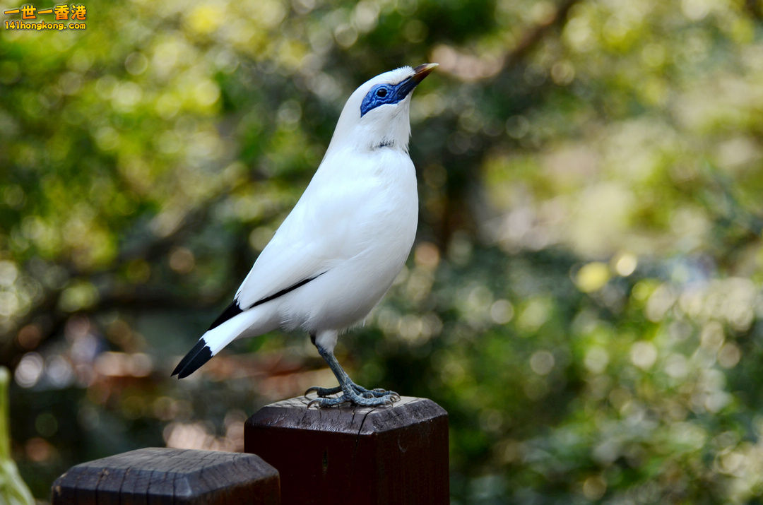 nEO_IMG_DSC_7132.jpg