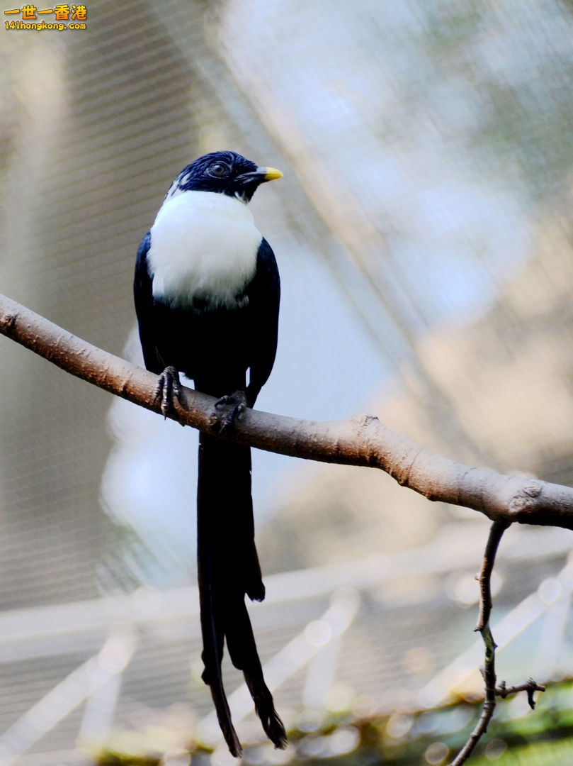 nEO_IMG_DSC_7236.jpg