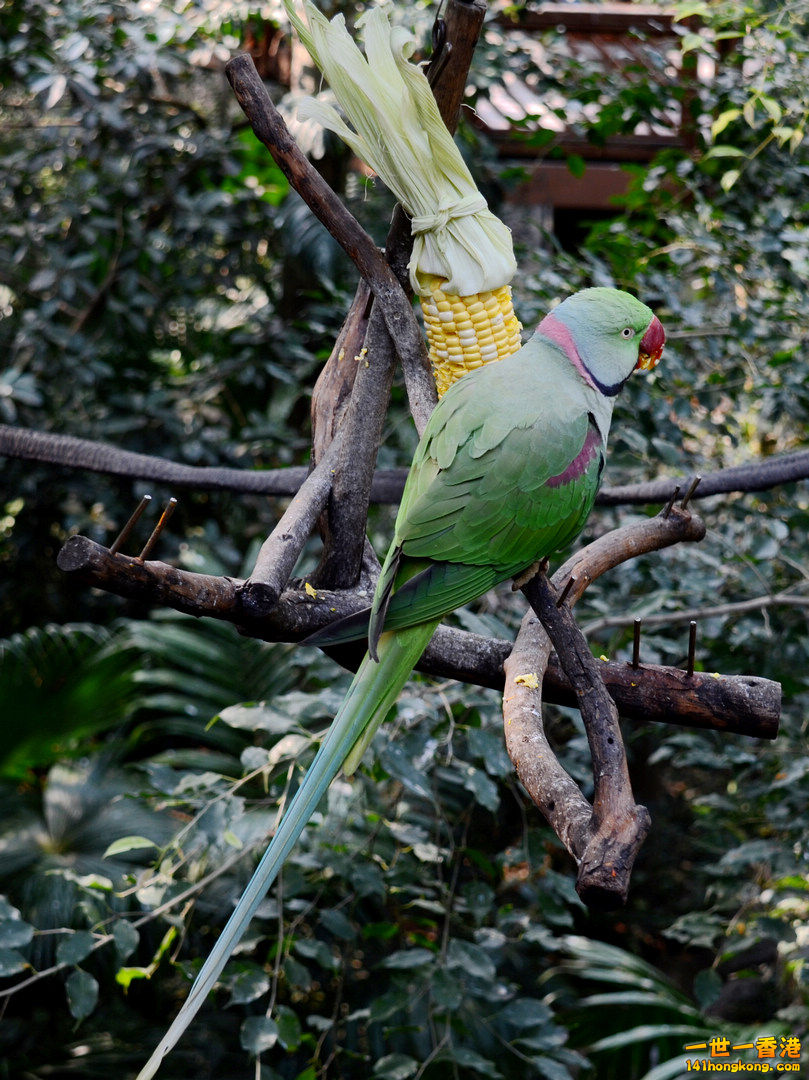 nEO_IMG_DSC_7308.jpg
