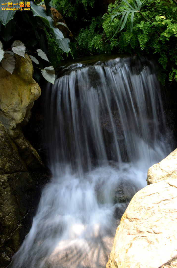 nEO_IMG_DSC_6789.jpg