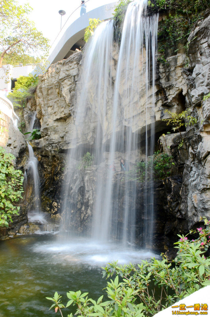 DSC_7386.JPG