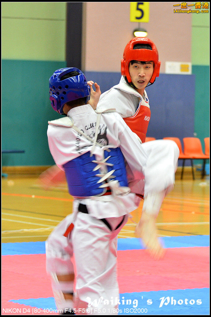 DSC_8241.jpg