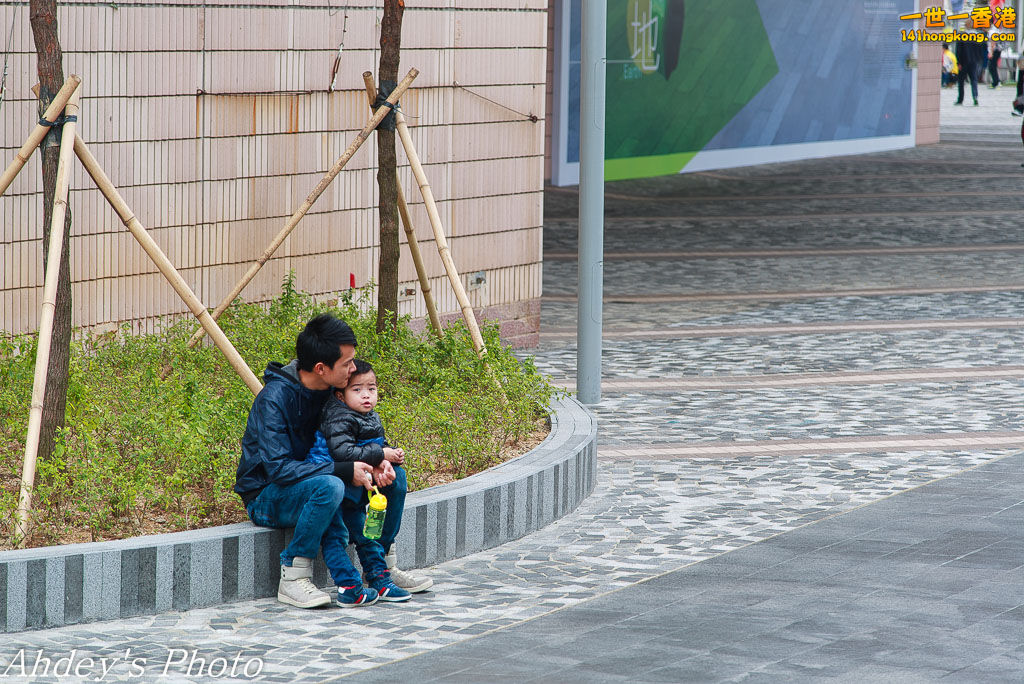 DSC_7873.jpg