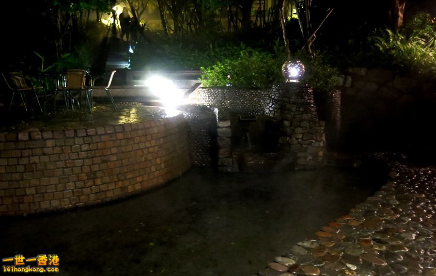 030.JPG