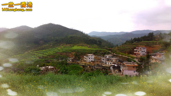 IMAG0022_mh1396069810015.JPG