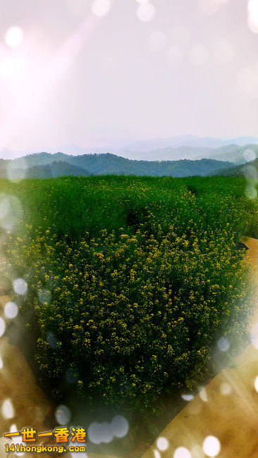 IMAG0024_mh1396158896996.JPG