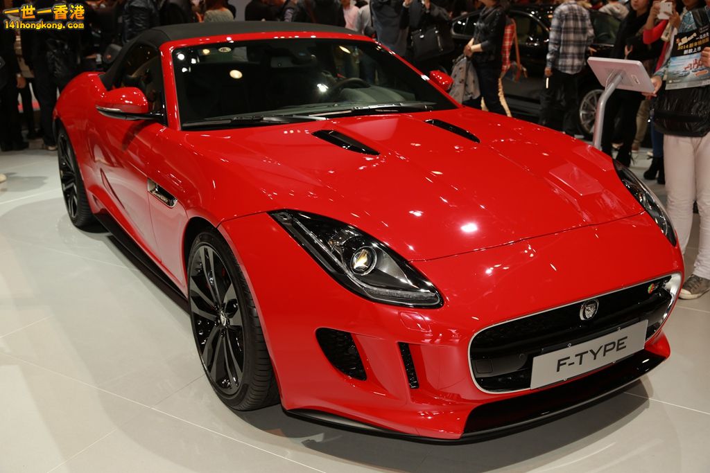 3P1A6616.JPG