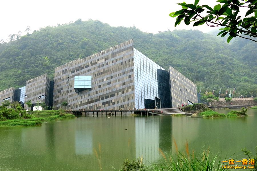 010.JPG