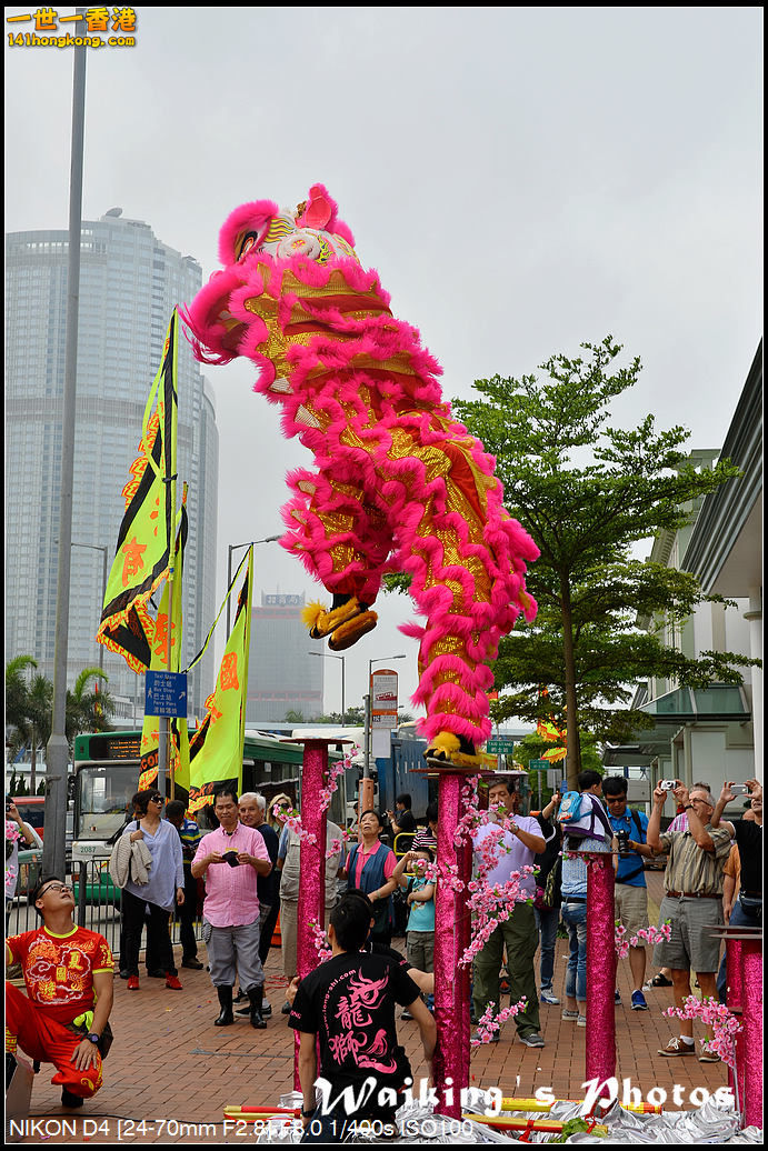 DSC_2887.jpg