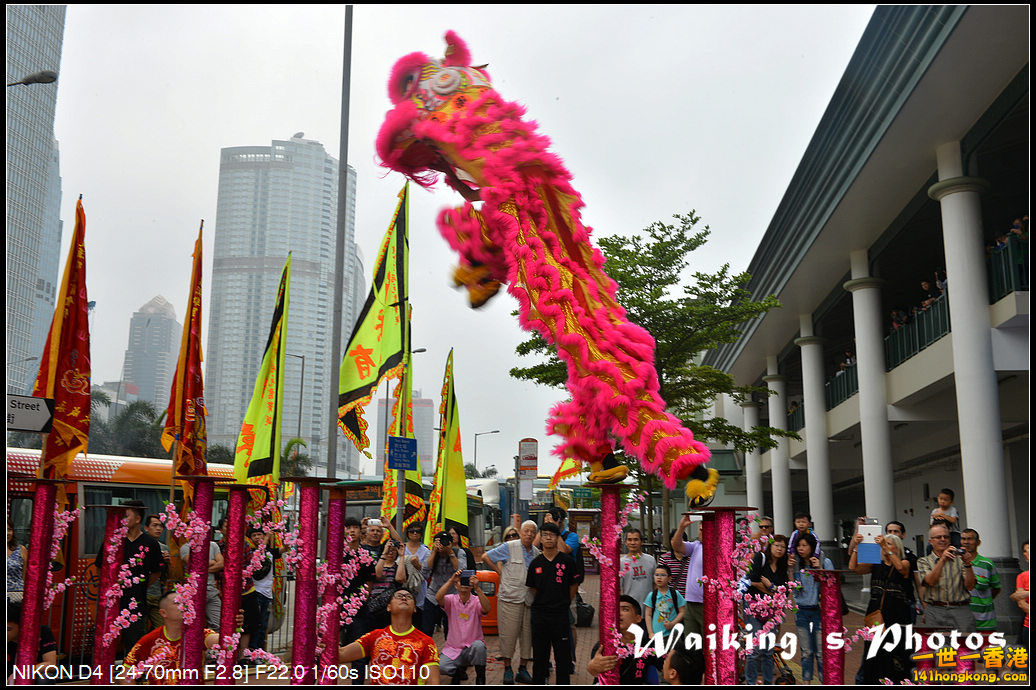 DSC_2944.jpg
