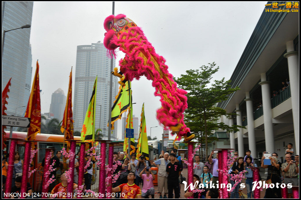 DSC_2945.jpg