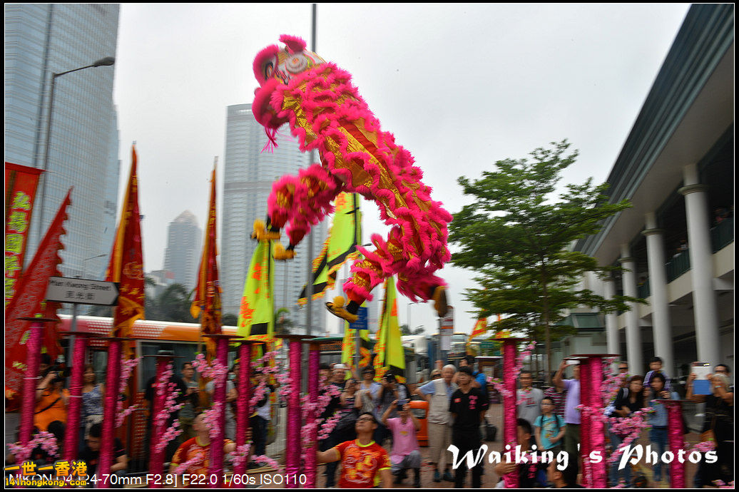 DSC_2946.jpg