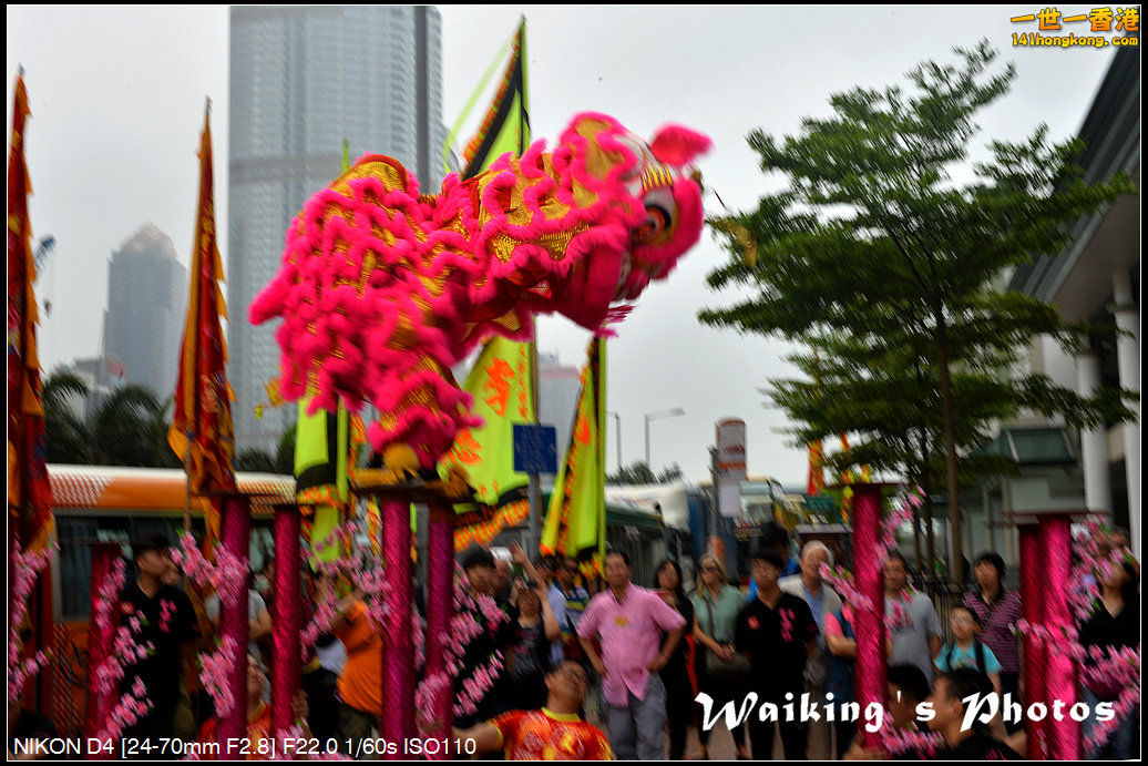 DSC_2982.jpg