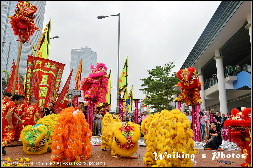 DSC_3113.jpg