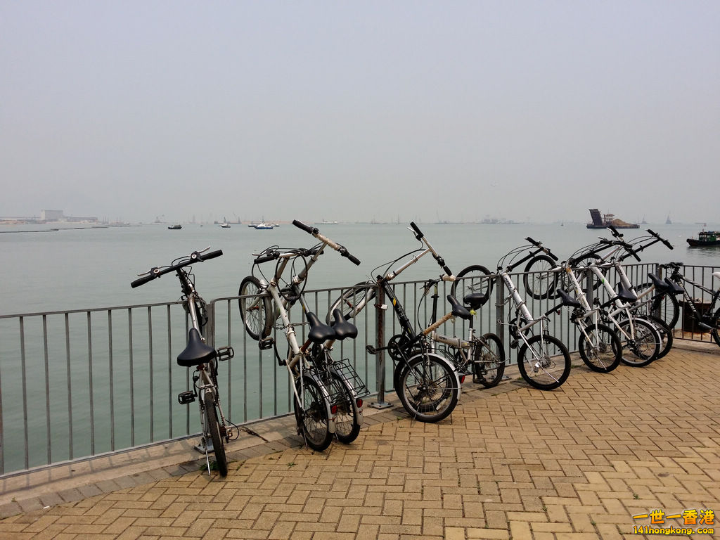 20140320_123929.jpg