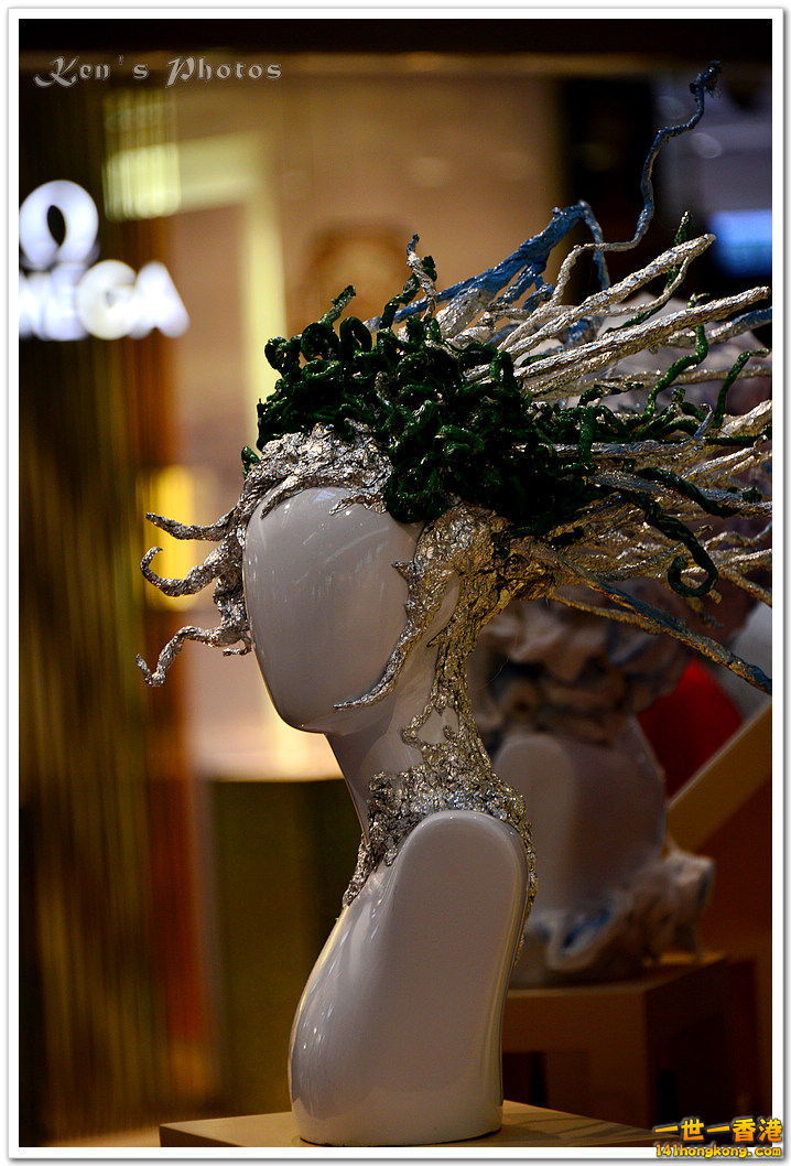 DSC_8518a.jpg
