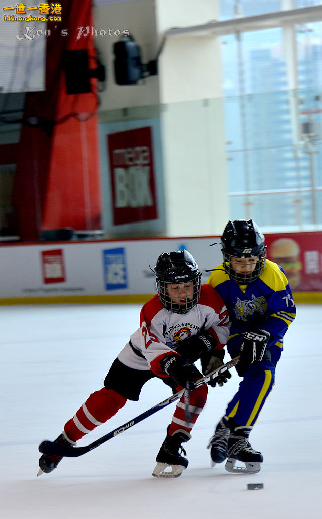 DSC_2893.jpg
