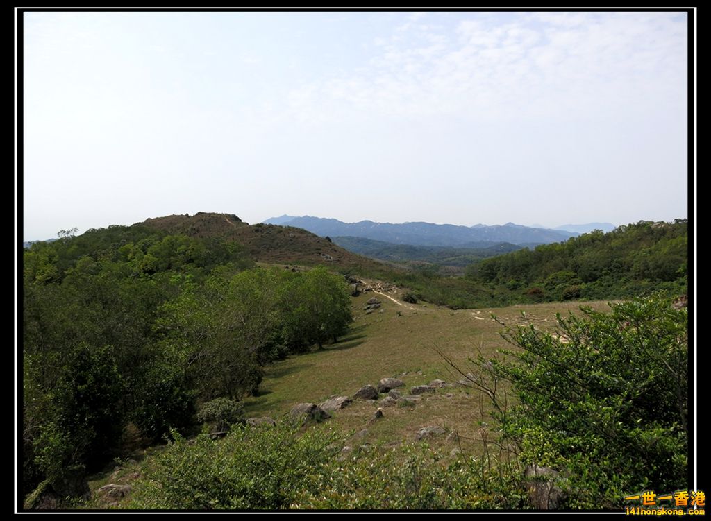 IMG_4169.JPG