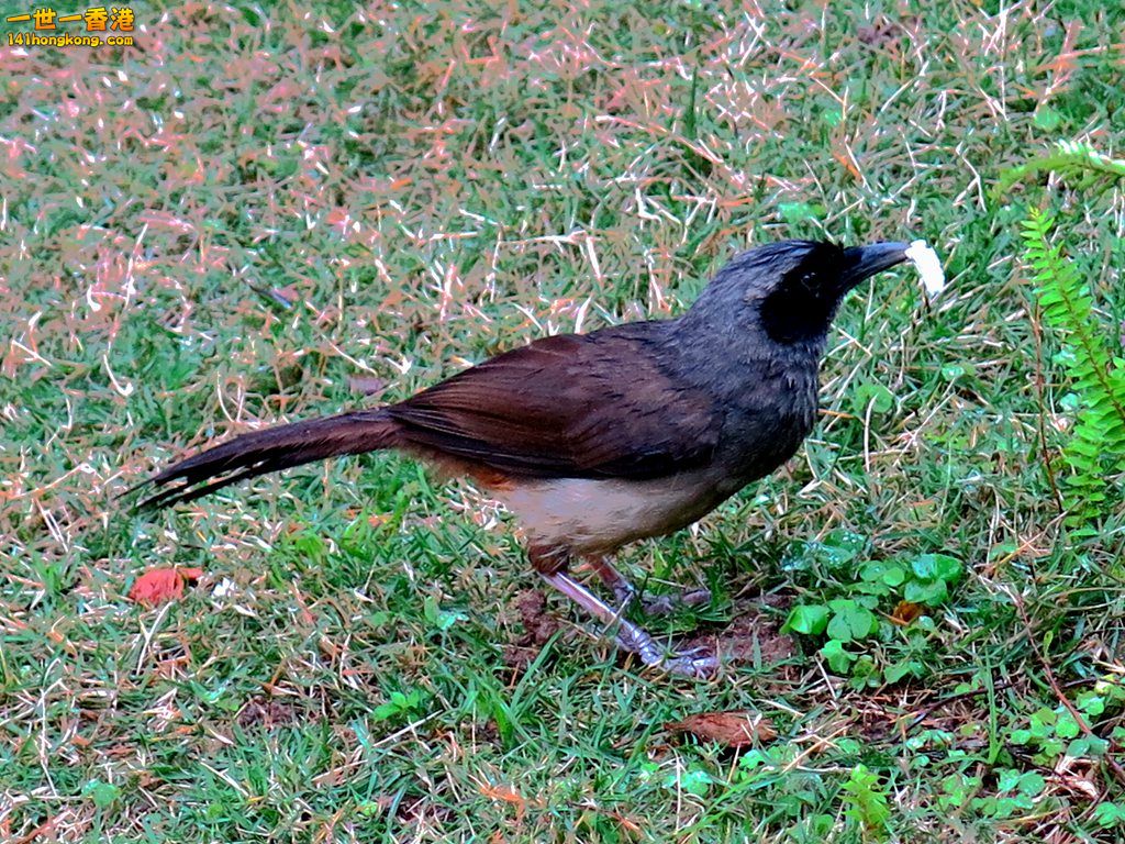 IMG_4298.JPG