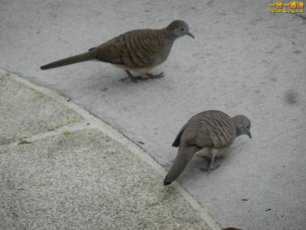 DSCN0776.JPG