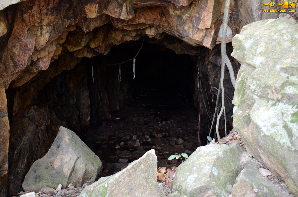 DSC_0026.jpg