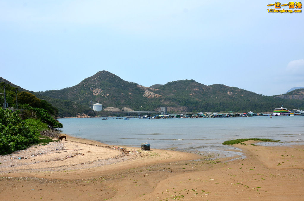 DSC_0078.jpg