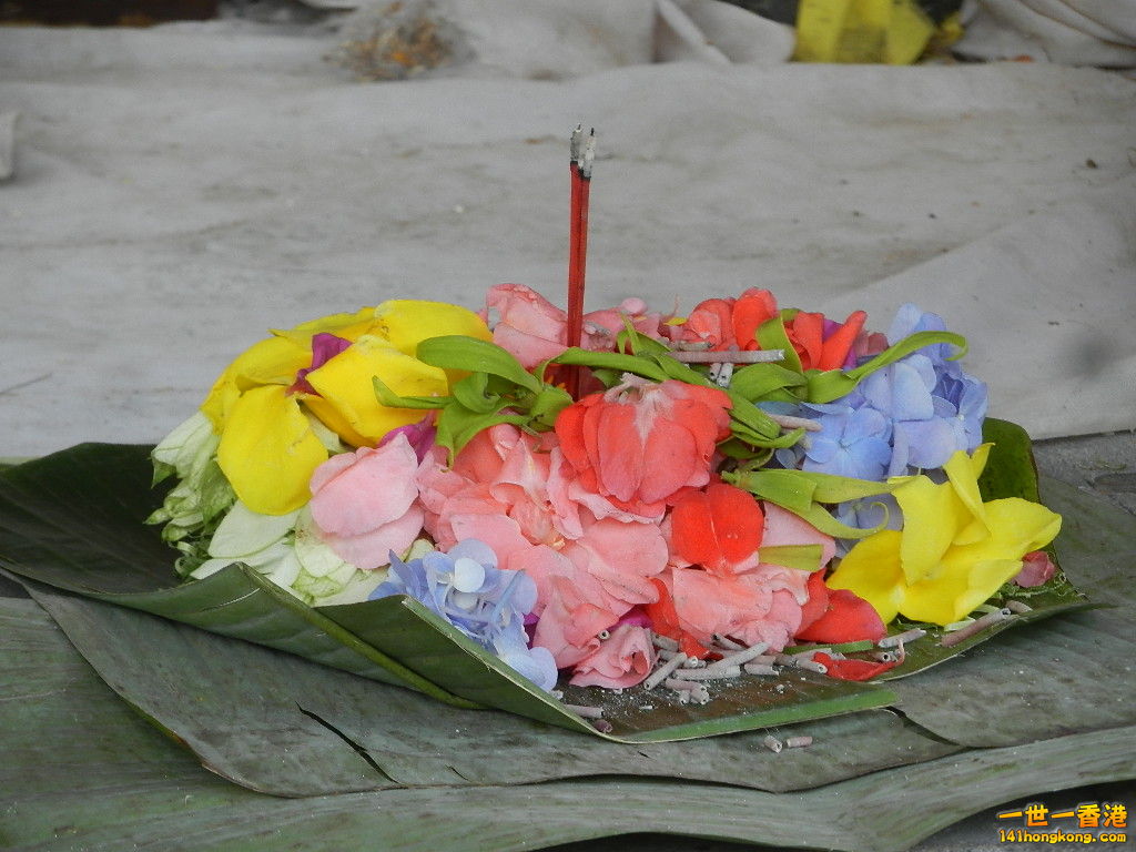 DSCN9854.JPG