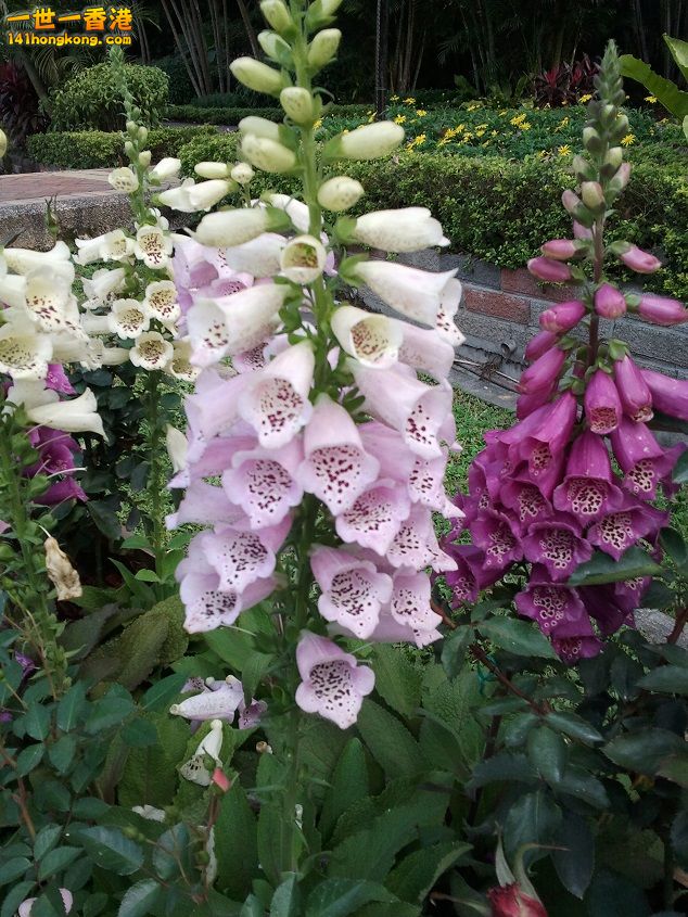 2011-02-22 09.38.36.jpg
