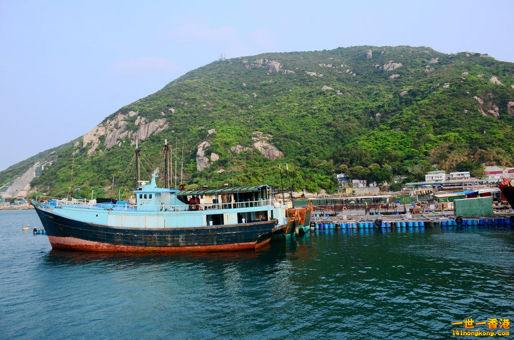 DSC_0193.jpg