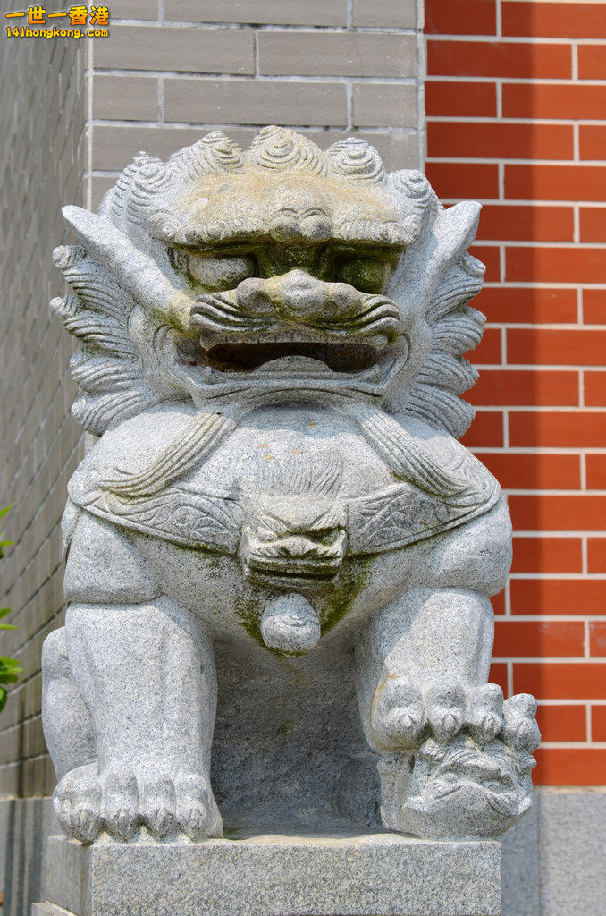 DSC_0122.jpg